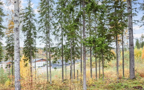 Isohukka: Lit, Meubles, Chambre, Design Intérieur, Literie, Drap De Lit, Sol, Bois, Sol, Pièce
