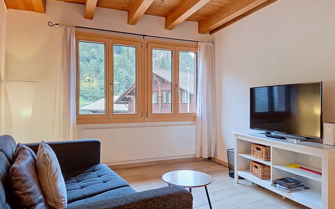 Schwendi 3: Design Intérieur, Meubles, Sol, Bois, Sol, Canapé, Pièce, Plafond, Parquet, Salon
