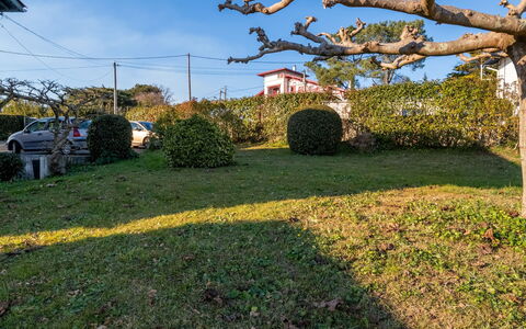 Errepira: Ciel, Plante, Roue, La Nature, Feuille, Botanique, Paysage Naturel, Arbre, Branche, Nuage