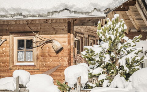 Lindenalm: Plante, Fenêtre, Neige, Bâtiment, Blanc, Fleur, Branche, Brindille, Bois, Gelé