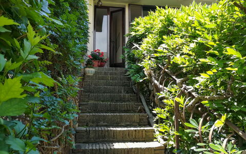 La Terrazza di Dinky: Vert, Feuille, Végétation, Arbuste, Escaliers, Printemps, Jardin, Ombre, Arrière-Cour