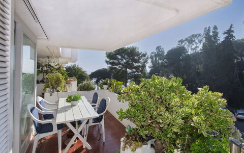 Cala Bona: Plante, Meubles, Table, Bâtiment, Ombre, Chaise, Design Intérieur, Pot De Fleur, Mobilier De Jardin, Ciel