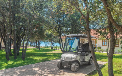 Rovinj Bale 311: Plante, Roue, Véhicule, Voiture, Pneu Automobile, Arbre, Véhicule À Moteur, Ombre