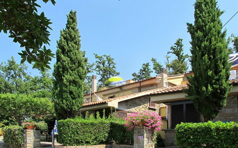 Vinci 962: Plante, Ciel, Bâtiment, Propriété, Fleur, Feuille, Arbre, Végétation, Fenêtre, Quartier
