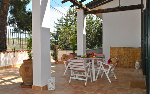 Corbezzolo: Propriété, Meubles, Table, Plante, Chaise, Tableau De Plein Air, Bois, Pot De Fleur, Ombre, Design Intérieur
