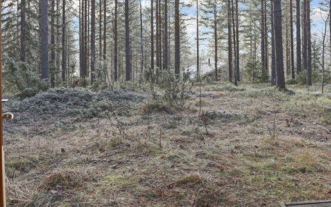 Alppitalo Mökki: Bois, Chalet, Cabane En Rondins, Forêt, Cabanon, Batiments Jardin, Mélèze, Des Bois, Tache De Bois