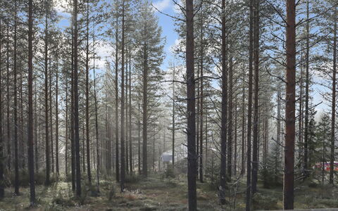 Alppitalo Mökki: Bois, Chalet, Cabane En Rondins, Forêt, Cabanon, Batiments Jardin, Mélèze, Des Bois, Tache De Bois