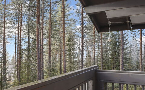 Alppitalo Mökki: Bois, Chalet, Cabane En Rondins, Forêt, Cabanon, Batiments Jardin, Mélèze, Des Bois, Tache De Bois