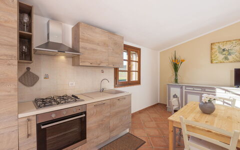 Logement:&nbsp;Alma 250.5