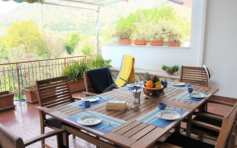 Francesca: Table, Plante, Bâtiment, Meubles, Propriété, Pot De Fleur, Plante D'Appartement, Chaise, Vert, Fenêtre