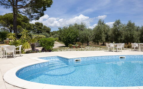 Quattro Rose: L'Eau, Nuage, Ciel, Propriété, Piscine, Bleu Azur, Arbre, Plan D'Eau, Rectangle, Ombre