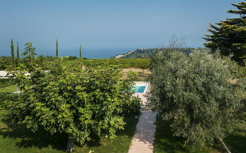 Villa Degli Aranci: Ciel, Plante, Communauté Des Plantes, Paysage Naturel, Végétation, Lot Terre, Herbe, Biome, Arbuste, Agriculture