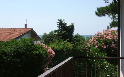 Casa Argentario: Plante, Bâtiment, Ciel, Propriété, Fleur, Bois, Arbre, Maison, Zone Résidentielle, Immobilier
