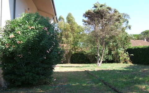 Casa Argentario: Plante, Propriété, Ciel, Arbre, Lot Terre, Surface De La Route, Ombre, Herbe, Couverture De Sol, Paysage Naturel