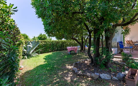 Villa Il Pesco: Plante, Propriété, La Nature, Feuille, Arbre, Végétation, Ciel, Biome, Herbe, Suppression Des Plantes Ligneuses