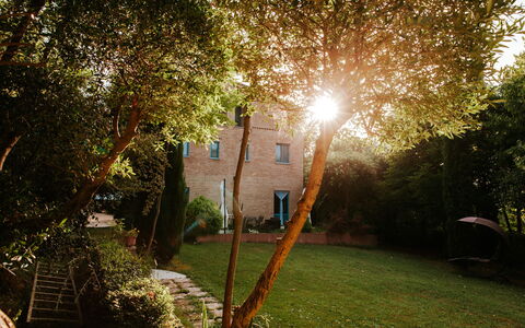Villa Millefiori: Plante, Feuille, Arbre, Branche, Éclairage, Lumière Du Soleil, Paysage Naturel, Éclairage Public, Végétation, Herbe