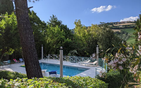 Villa Millefiori: L'Eau, Plante, Nuage, Ciel, Ressources En Eau, La Nature, Paysage Naturel, Piscine, Arbre, Végétation