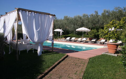 Il Fienile Holiday Home: Plante, Ciel, L'Eau, Parapluie, Ombre, Piscine, Mobilier De Jardin, Pot De Fleur, Herbe