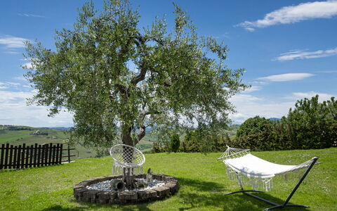 La Casa Di Campagna: Herbe, Branche, Prairie, Plaine, Jardin, Tronc, Pelouse, Brindille, Suppression Des Plantes Ligneuses, Prairie