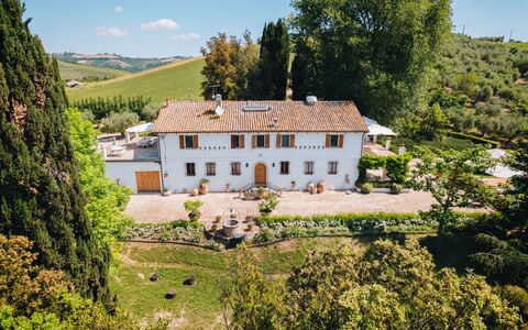Villa La Picena: Maison, Biens, Domicile, Manoir, Villa, Jardin, Aménagement Paysager, Hacienda, Ferme, Plantation