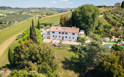 Villa La Picena: Biens, Manoir, Villa, Hacienda, Aliments, Piscine, Plantation, Eco Hôtel, Ferme