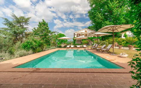 Villa La Picena: L'Eau, Plante, Ciel, Nuage, Piscine, Arbre, Bâtiment, Arecales, Mobilier De Jardin, Herbe