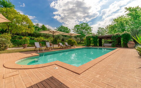 Villa La Picena: Nuage, L'Eau, Plante, Piscine, Ciel, Arbre, Chaise, Ombre, Arecales, Herbe