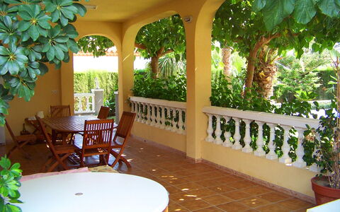 Villa Mar: Plante, Meubles, Propriété, Chaise, Design Intérieur, Mobilier De Jardin, Table, Ombre, Plante D'Appartement, Pot De Fleur