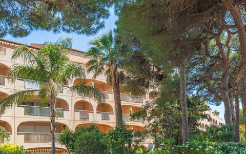 Logement:&nbsp;Port de la Gavine i 203.6