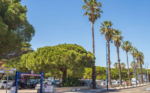 Hyères 203: Arbre, Éclairage Public, Familiale, Parking, Ombre, Terrain De Stationnement