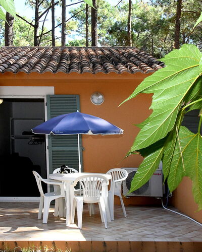 Studio Cabine Type B 600.1
