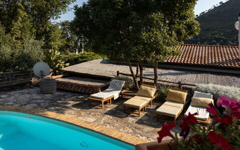Hjort: L'Eau, Plante, Propriété, Bleu Azur, Ciel, Mobilier De Jardin, Piscine, Arbre, Bâtiment, Ombre