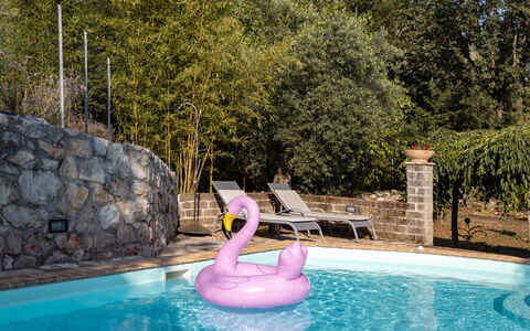 Hjort: L'Eau, Plante, Piscine, Bleu Azur, Arbre, Loisir, Amusement, Herbe, Des Loisirs, Paysage