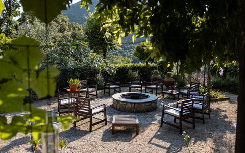 Hjort: Plante, Ombre, Mobilier De Jardin, Paysage Naturel, Surface De La Route, Arbre, Loisir, Herbe, Paysage, Teintes Et Ombres