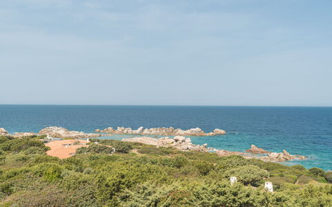 Malvasia: Bâtiment, Plante, Propriété, Fenêtre, Lot Terre, Design Urbain, Paysage, Quartier, Herbe, Loisir