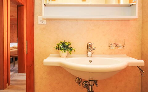 Dorine: Robinet, Luminaire Plomberie, Plante, Propriété, Lavabo, Évier, Blanc, Salle De Bains, Bois