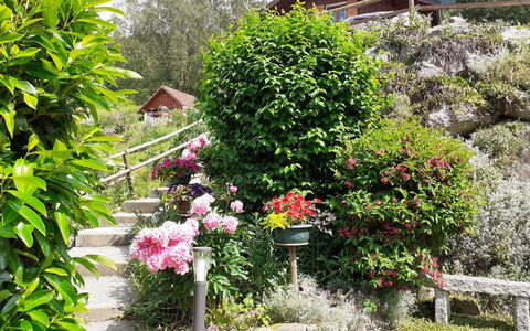 Namasté: Fleur, Plante, Communauté Des Plantes, Botanique, Bâtiment, Fenêtre, Arbre, Maison, Herbe, Arbuste