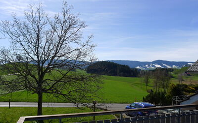 Schlieregg