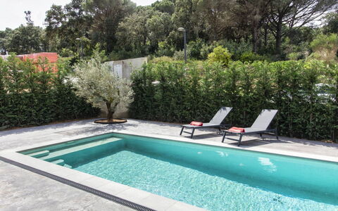 Alyssa: Plante, L'Eau, Propriété, Meubles, Bâtiment, Table, Fenêtre, Bleu Azur, Chaise, Design Intérieur