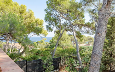 Marysol: Ciel, Plante, Communauté Des Plantes, Paysage Naturel, Arbre, Bois, Tronc, Herbe, Paysage, Arbuste