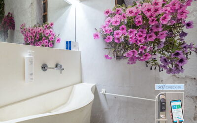 Logement:&nbsp;Vico Quaranta Deluxe 2