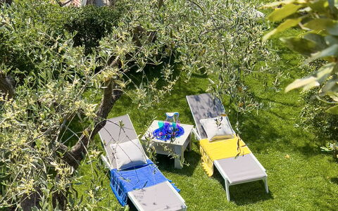 Villa La Rodina - Diano Marina: Plante, Communauté Des Plantes, Paysage Naturel, Végétation, Lot Terre, Herbe, Biome, Arbre, Arbuste, Couverture De Sol