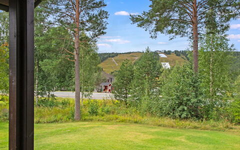 Tahkon Klubitie 4 a: Herbe, Arbuste, Lot Terre, Jardin, Couverture De Sol, Printemps, Aménagement Paysager, Pelouse, Prairie, Ombre