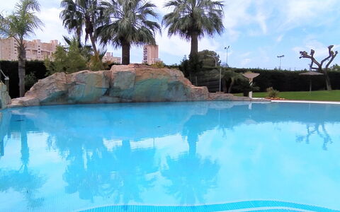 Bitacoras: L'Eau, Nuage, Ciel, Piscine, Plante, Arbre, Bleu Azur, Paysage Naturel, Arecales, Composite