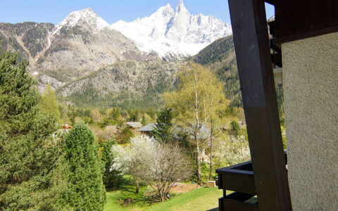 Alpen Roc: Plante, Montagne, Ciel, Propriété, La Nature, Paysage Naturel, Ombre, Montagnes, Arbre, Biome
