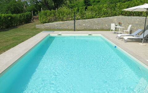 Castellaio: L'Eau, Propriété, Piscine, Plante, Bleu Azur, Rectangle, Ombre, Bois, Herbe, Loisir