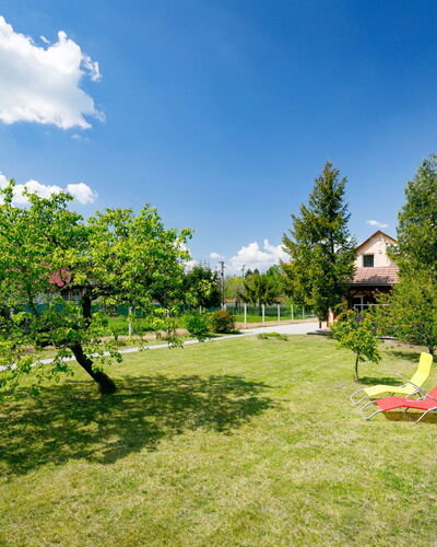 Pear Trees