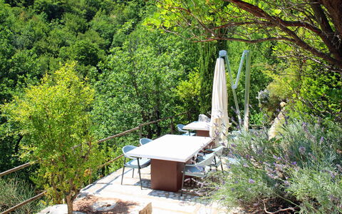 Villa Vetice: Plante, Communauté Des Plantes, Arbre, Paysage Naturel, Branche, Bois, Lumière Du Soleil, Herbe, Biome, Suppression Des Plantes Ligneuses