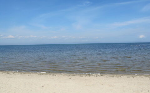 Philipp: L'Eau, Nuage, Ciel, Bleu, Plage, Arbre, Horizon, Paysage, Cumulus