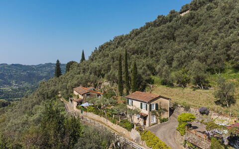 Il Glicine: Ciel, Plante, Montagne, Communauté Des Plantes, Bâtiment, Arbre, Paysage Naturel, Montagnes, Maison, Terrain